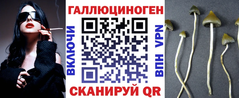 omg зеркало  Стародуб  нарко площадка какой сайт  Псилоцибиновые грибы прущие грибы 